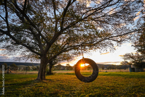 Dark and moody image of tyre swing hanging from tree at sunset