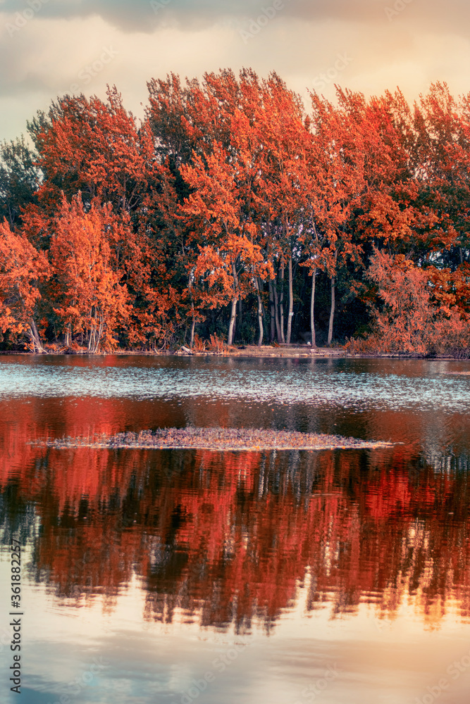 Obraz premium Vibrant trees and lake at autumn time
