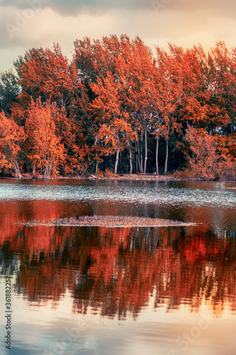 Vibrant trees and lake at autumn time