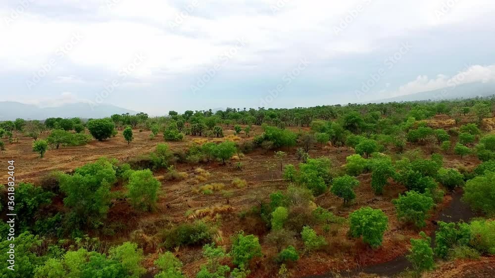 Beautiful aerial view over the dried fields of a tropical jungle near a volcano Beautiful aerial view over the dried fields of a tropical jungle near a volcano