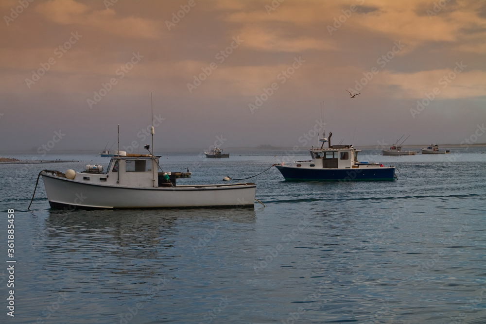 Small Fishing Boats Moored in Aunt Lydia's Cove, Chatham, Massachusetts, USA