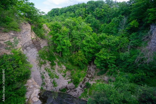 Beautiful Scenic View of a Trail in a Forest Landscape during warm summer weather