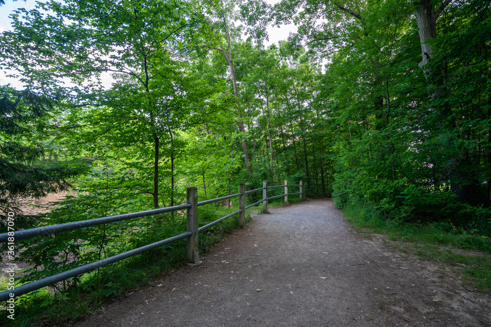 Beautiful Scenic View of a Trail in a Forest Landscape during warm summer weather with a fence