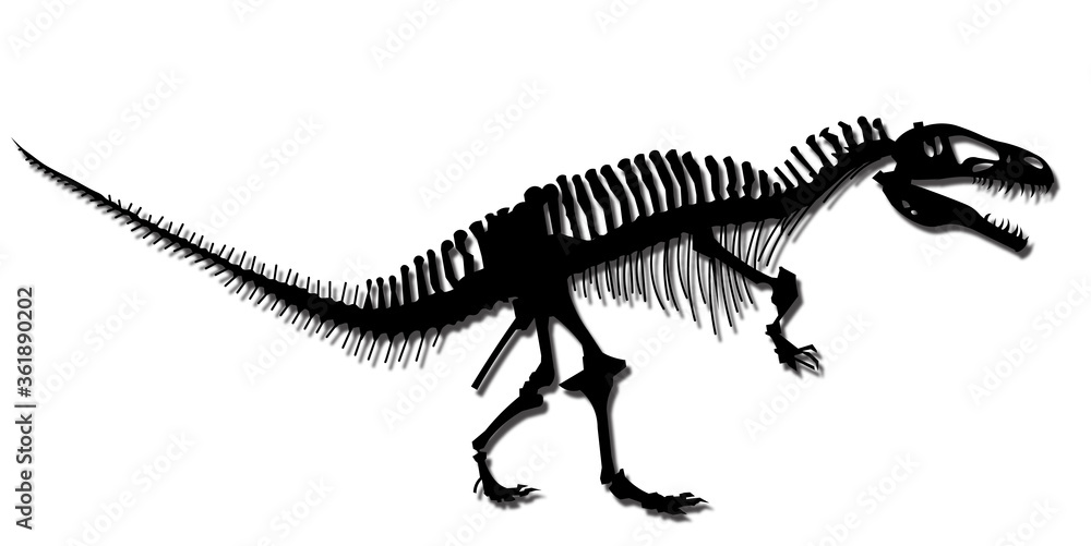 Naklejka premium 恐竜, トカゲ, 動物, 孤立した, レプタイル, 白, 骨格, ドラゴン, 緑, おもちゃ, 生き物, ディーノ, 化石, 野生生物, 先史時代の, モンスター, t-rex, 古代の, 自然, 捕食者, 尾, イラスト, 古い, 骨, ティラノザウルス, 肉食, ダイナソー, シルエット, イラスト素材, シルエット素材, 素材, カット素材, カット集, イラスト集, かっこいい, リアル,