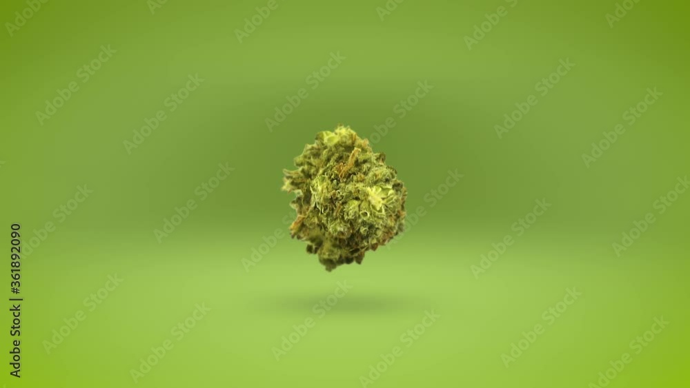 Floating Cannabis Nugget Rolling on a Green Background. Loopable video. Floating Cannabis Nugget Rolling on a Green Background. Loopable video.