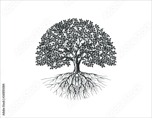 Canvas Print Tree and roots vector silhouette in circle shape