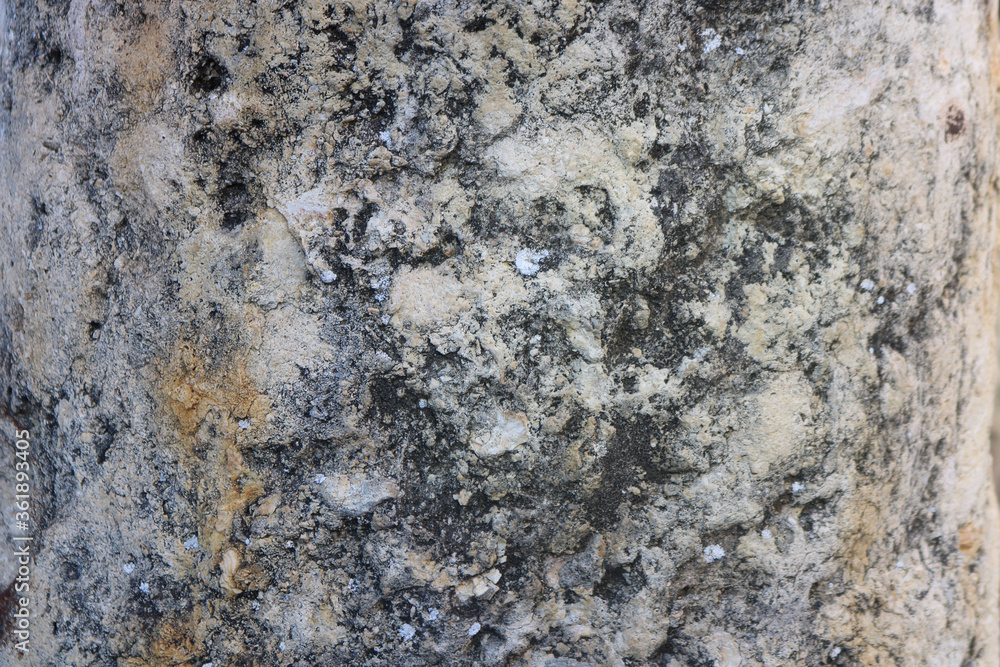 rough irregular surface of white and gray rock from a column with abstract shapes and - background texture of a stone rough irregular surface of white and gray rock from a column with abstract shapes and - background texture of a stone