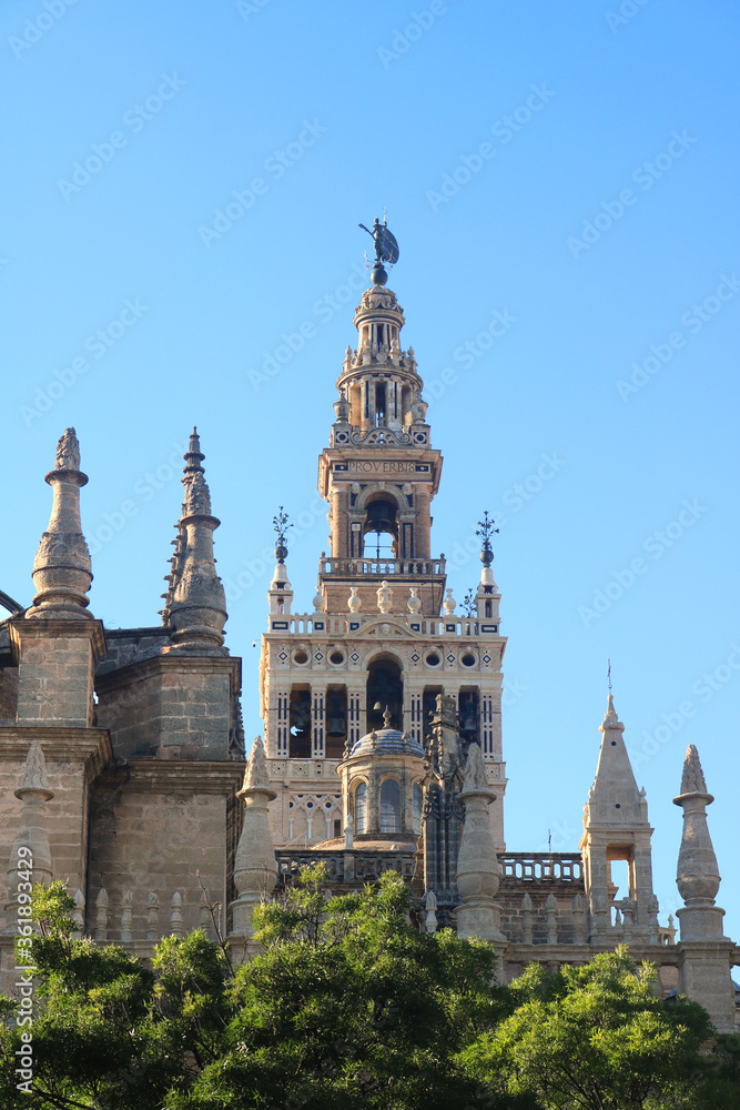 Giralda, bell tower of the cathedral of Sevilla with a clear blue sky in the background and some trees - vertical postcard
