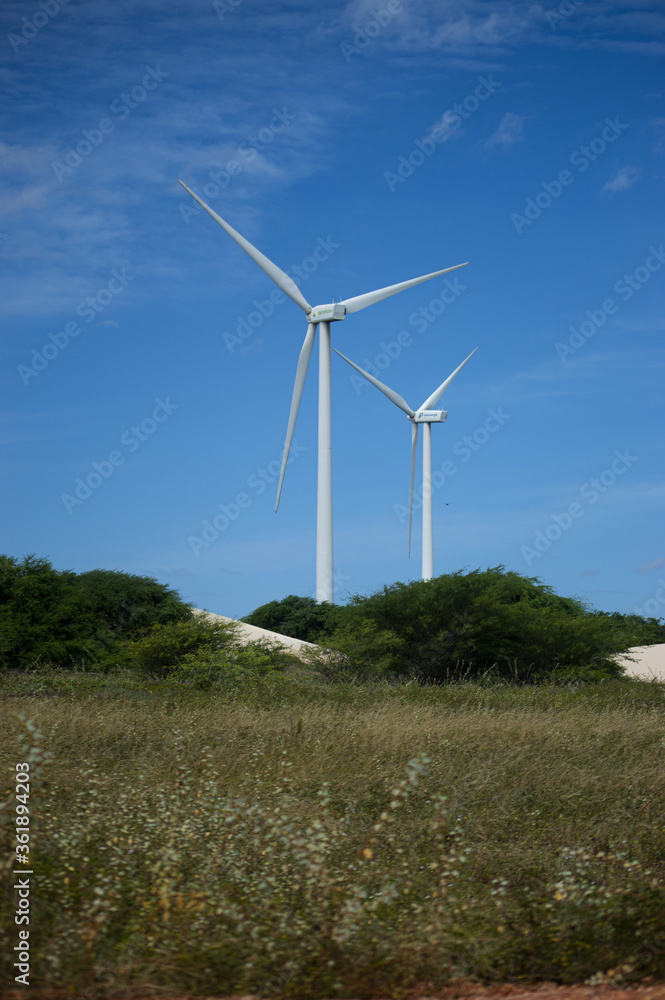Farm, Beach, Nature, Animals, Flora, Fauna, Street Art, Boats and etc Farm, Beach, Nature, Animals, Flora, Fauna, Street Art, Boats and etc