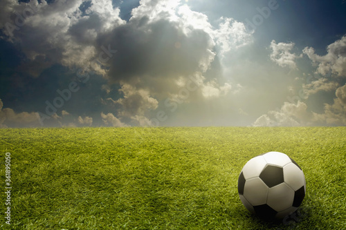 Soccer ball on a playing field