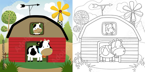 Vector cartoon illustration of cows in the barn, coloring book or page
