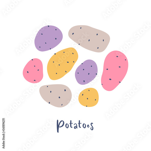 Colorful potatoes root vegetables hand drawn illustration.