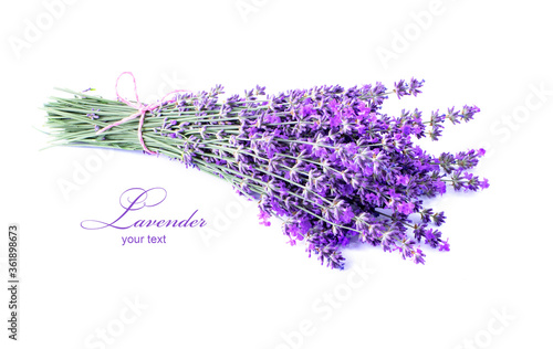 Lavender flowers on a white background. Lavender background. Place for text.