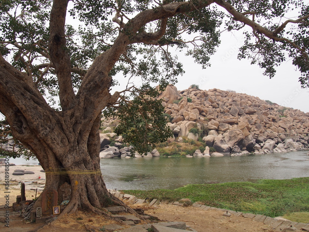 A beautiful natural river and a tree, Hampi, Karnataka, South India, India A beautiful natural river and a tree, Hampi, Karnataka, South India, India