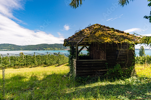 Premium hiking trail Seegang on Lake Constance photo