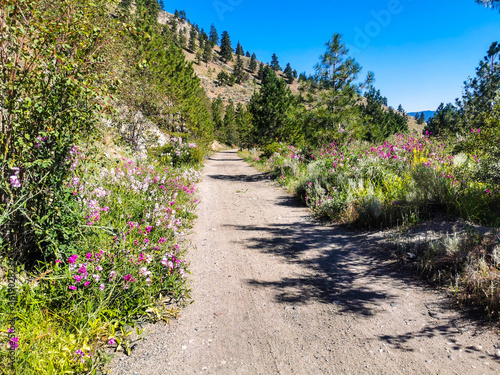 Cycling Trails KVR Kettle Valley Through Vineyards and Orchards Beautiful Landscapes