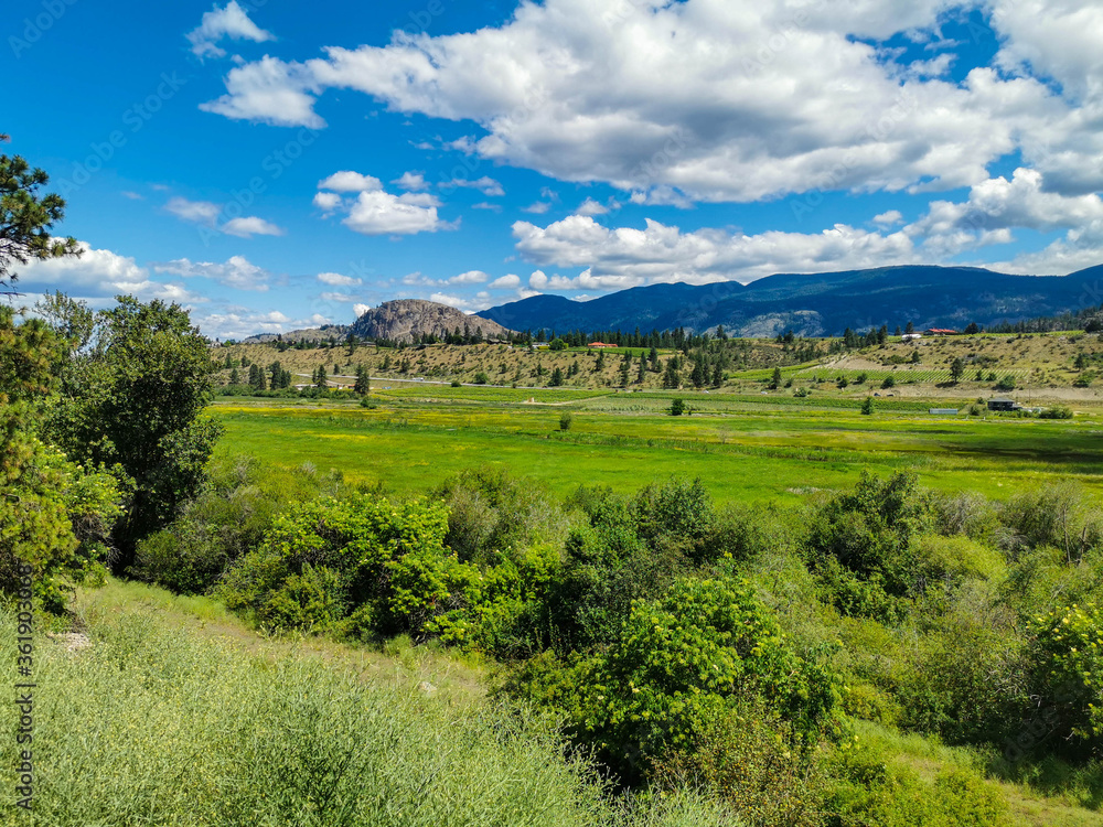 Naklejka premium Wineries and Orchards View Green Okanagan BC Agriculture