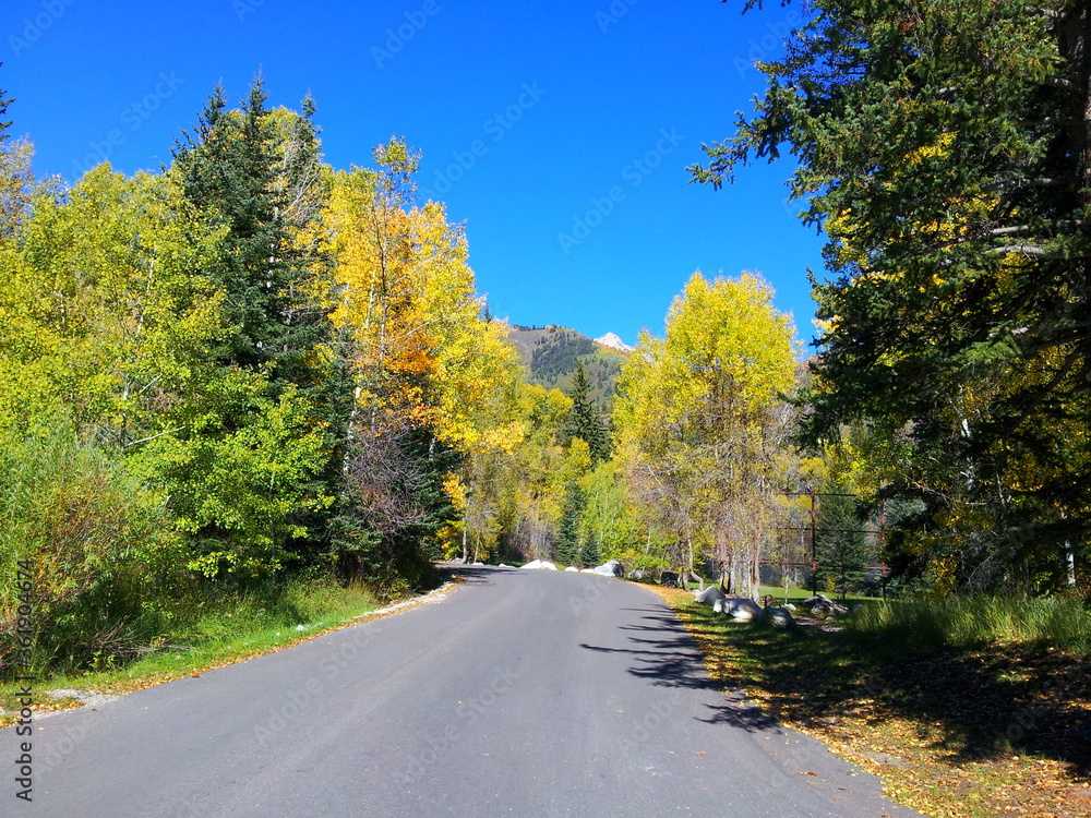 Fall colors along the Alpine Loop Scenic drive in early October near Alpine, Utah
