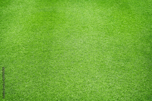 Natural Green grass texture background Close up Top view