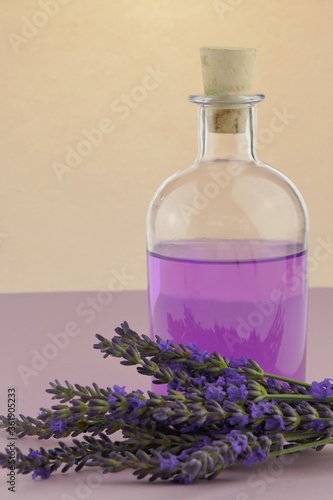 Lavender water. Lavender Extract.Lavender essence in transparent bottles set and sprigs of lavender flowers on a purple background.Organic natural cosmetics concept. Lavender cosmetics