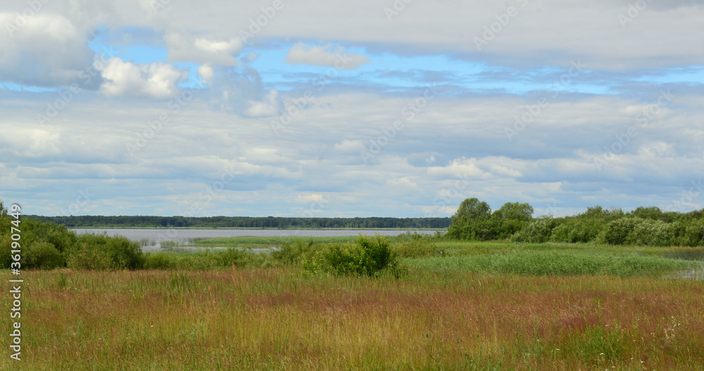 Summer landscape on the shore of the reservoir with green meadow grass, beautiful cloudy sky and green forest on the horizon. Summer landscape on the shore of the reservoir with green meadow grass, beautiful cloudy sky and green forest on the horizon.