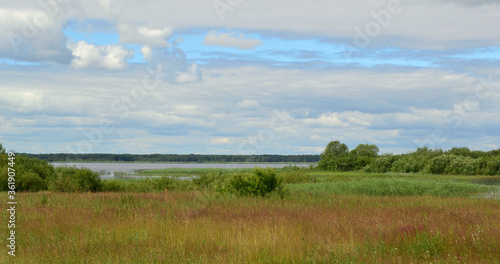Summer landscape on the shore of the reservoir with green meadow grass  beautiful cloudy sky and green forest on the horizon.