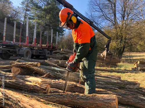 Cutting and manipulate wood with chainsaw at backyard, lumberjack work profession.
