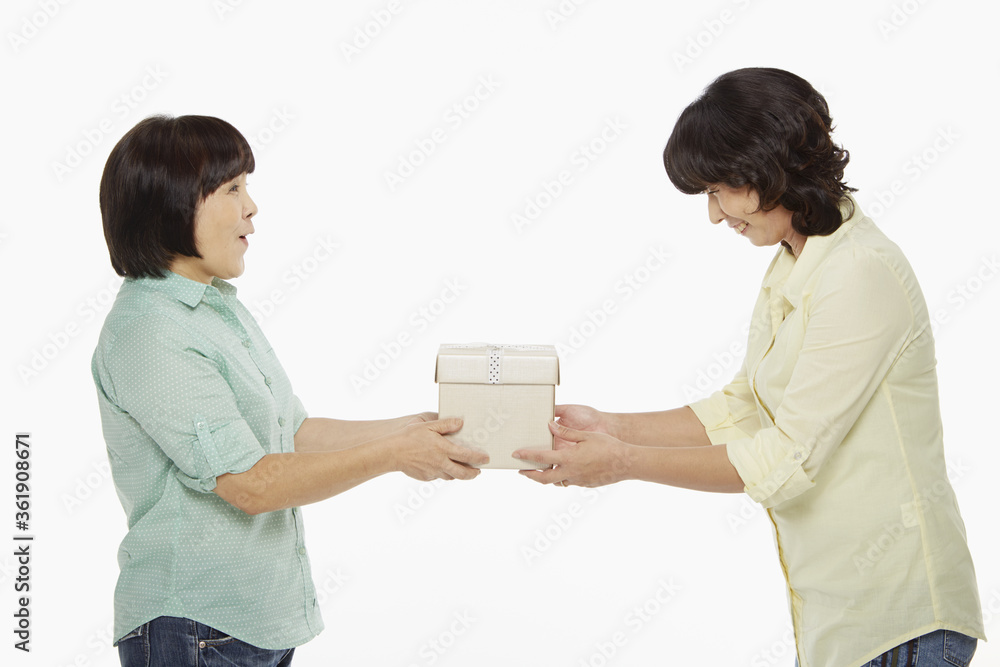 Woman presenting gift to another woman Woman presenting gift to another woman