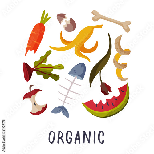 Organic Waste, Garbage Sorting, Segregation and Separation of Rubbish Vector Illustration on White Background