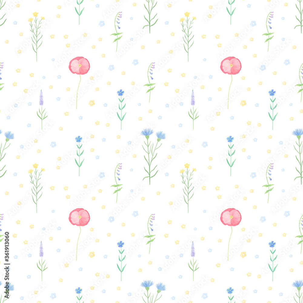 Watercolor wildflowers seamless pattern. Hand-painted wildflowers background. Summer, spring season. Botanical, vintage, retro floral background. 