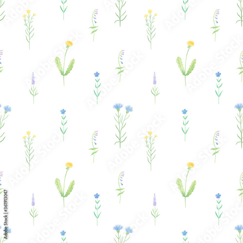 Watercolor wildflowers seamless pattern. Hand-painted wildflowers background. Summer, spring season. Botanical, vintage, retro floral background. 