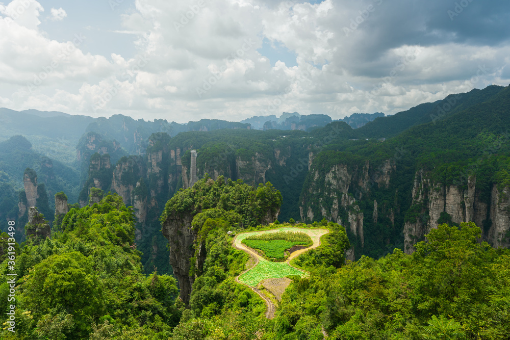 Beautiful natural landscape of Zhangjiajie National Forest Park, Hunan Province, China.