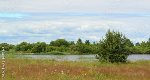 Summer landscape on the shore of the reservoir with green meadow grass, beautiful cloudy sky and green forest on the horizon.
