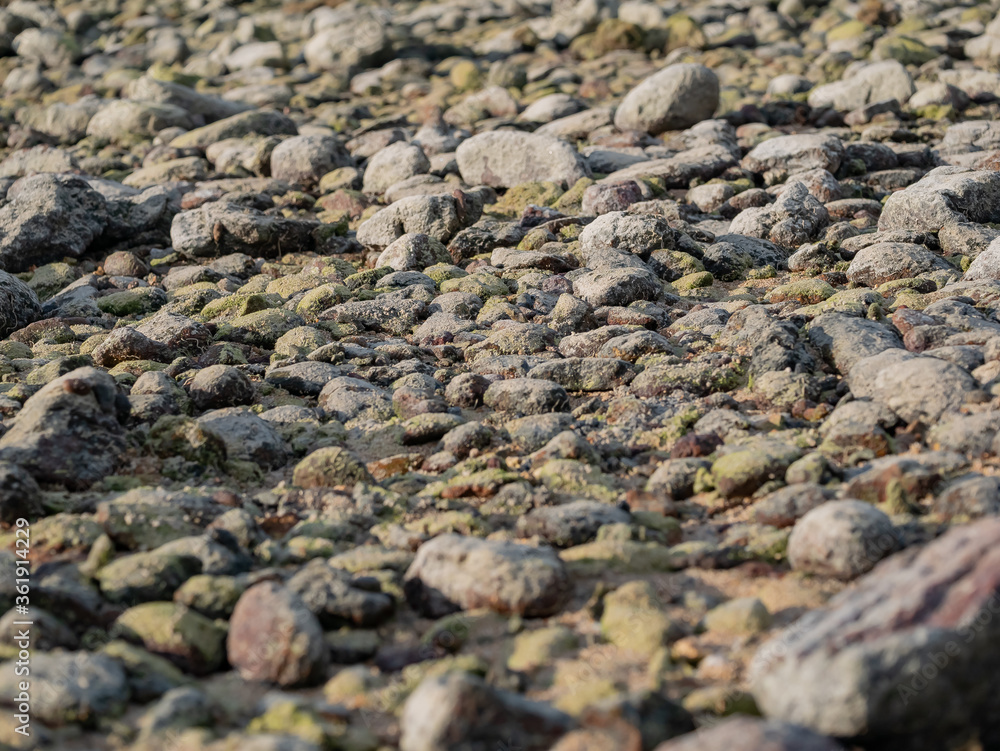 stone ground floor surface background for texture stone ground floor surface background for texture