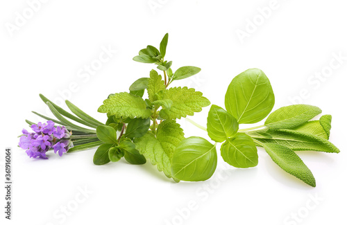 Fresh spices and herbs isolated