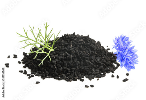 Vászonkép Nigella sativa or fennel flower, nutmeg flower, black caraway, Roman coriander, black cumin, black sesame, blackseed, black caraway, Bunium persicum