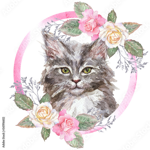 Watercolor and pencils composition with maine coon kitten and roses in pink frame, grey cat with romantic flower frame.