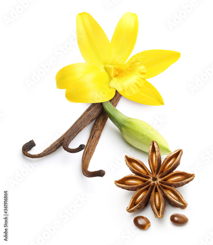 Vanilla pods, star anise seed and orchid flower isolated