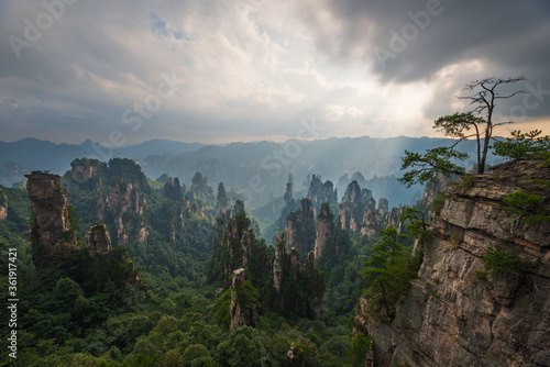 Beautiful natural landscape of Zhangjiajie National Forest Park  Hunan Province  China.