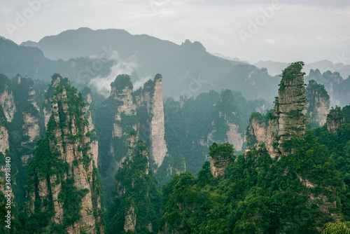 A natural backdrop of green, mist-shrouded Zhangjiajie National Forest Park in China. © zhuxiaophotography