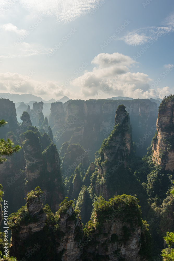 Green nature, the magical natural scenery of China's Zhangjiajie National Forest Park.