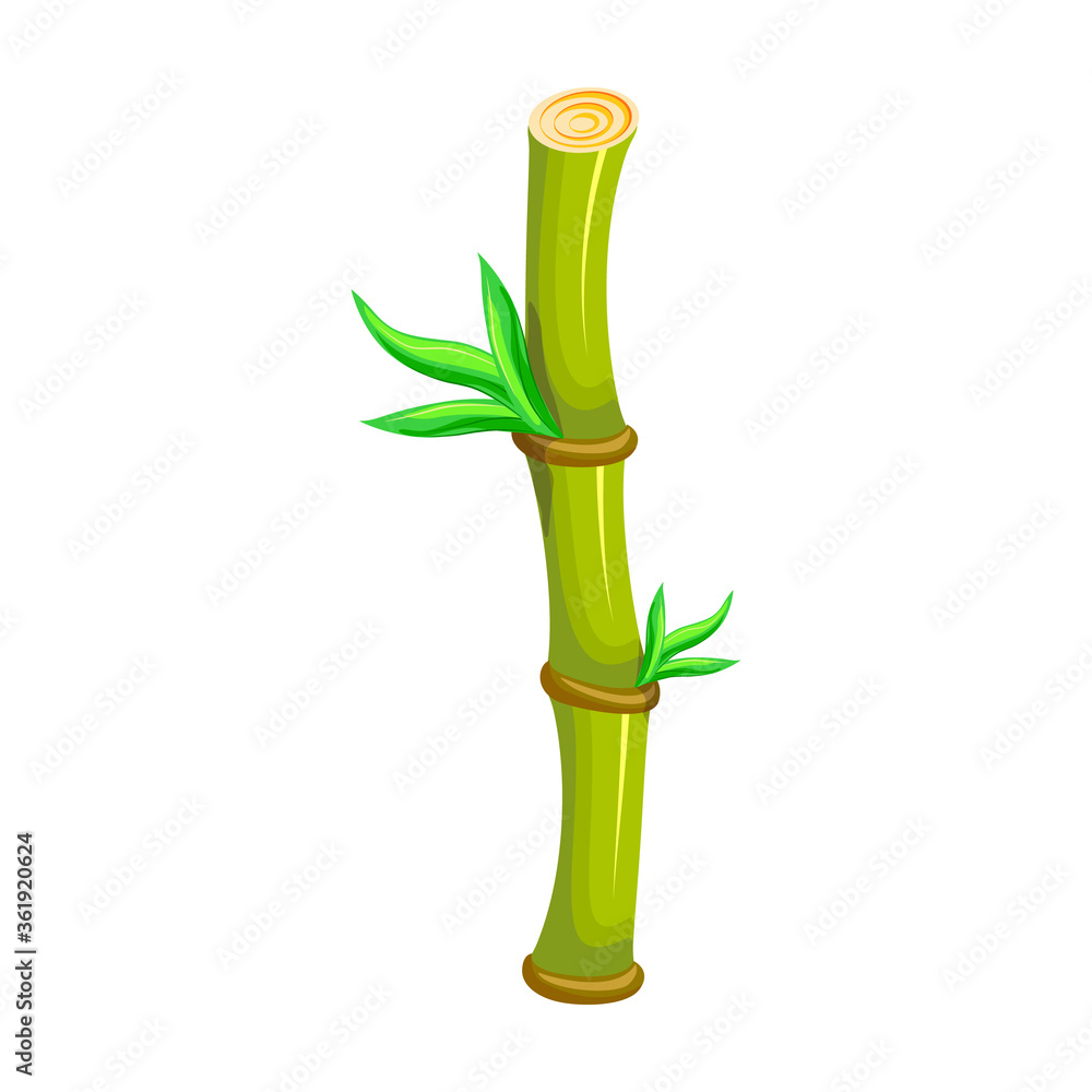 Fototapeta premium Bamboo vector icon.Cartoon vector icon isolated on white background bamboo.