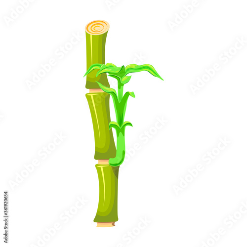 Bamboo vector icon.Cartoon vector icon isolated on white background bamboo.