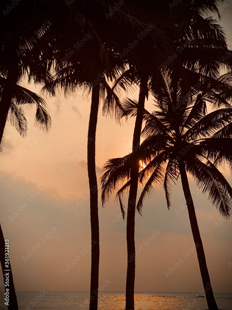 Fototapeta premium sunset on the beach