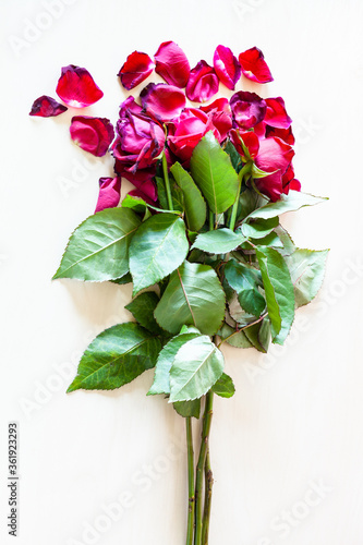 Fotografija bouquet of withered red rose flowers and fallen petals on pale brown table