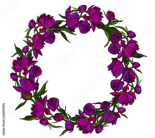 Wreath of peonies flowers. Suitable for design postcards. White background isolator. Stock illustration.