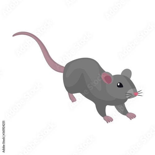 Mouse vector icon.Cartoon vector icon isolated on white background mouse.