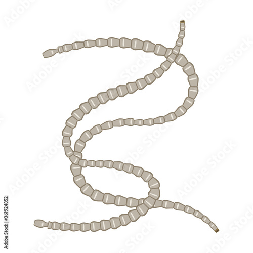 Parasites vector icon.Cartoon vector icon isolated on white background parasites.