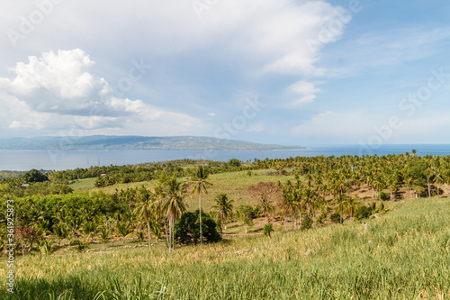 Scenery with palm trees and clouds and the ocean on the background, surroundings of City of Dumaguete, Negros Oriental, Philippines  photo