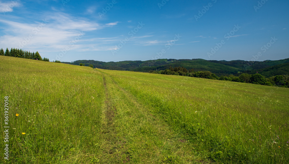 Beautiful Bile Karpaty mountains above Nedasova Lhota village in Czech republic with meadow, small forest on the right and hills on the background